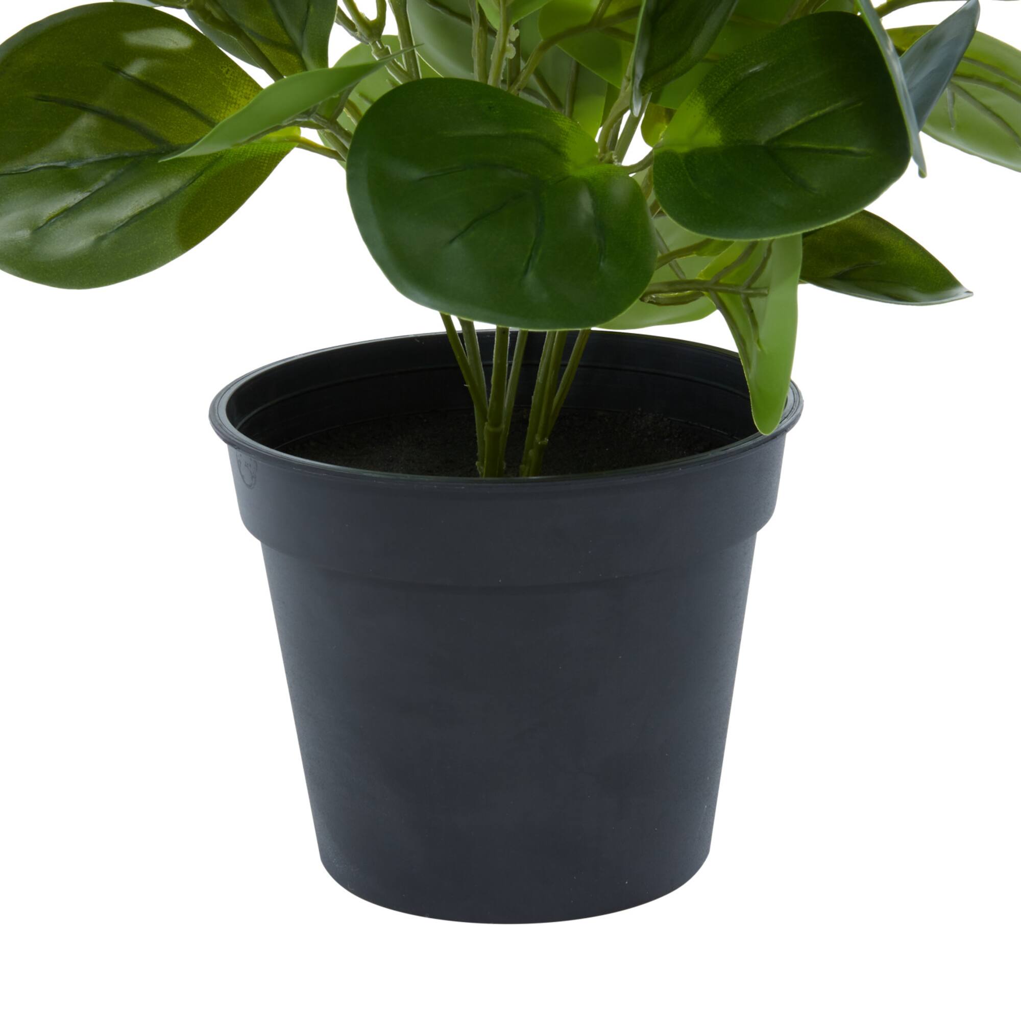 Green Plastic Traditional Artificial Foliage, 10" x 7" x 13"